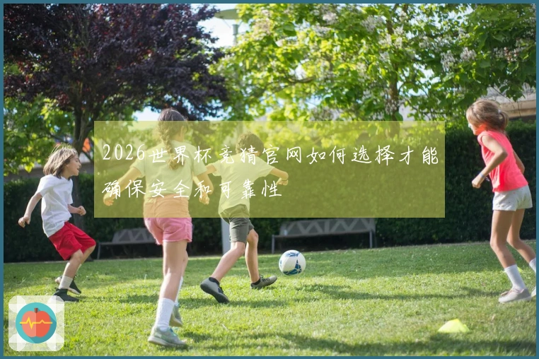 2026世界杯竞猜官网如何选择才能确保安全和可靠性