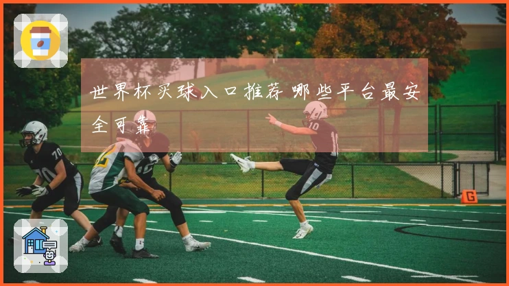 世界杯买球入口推荐 哪些平台最安全可靠