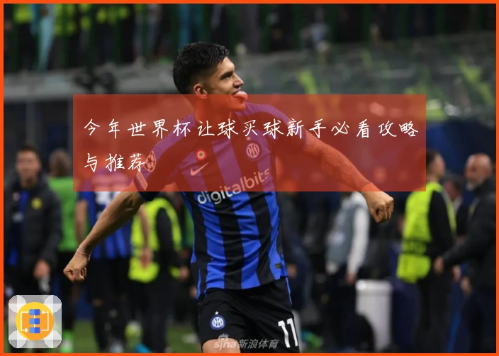 今年世界杯让球买球新手必看攻略与推荐