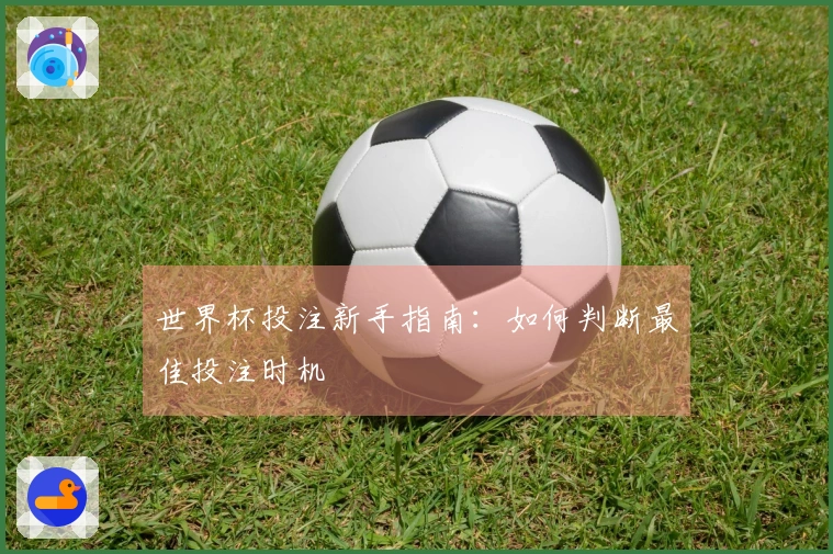 世界杯投注新手指南：如何判断最佳投注时机