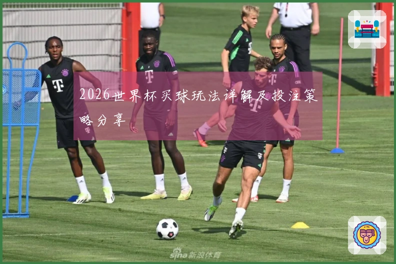 2026世界杯买球玩法详解及投注策略分享