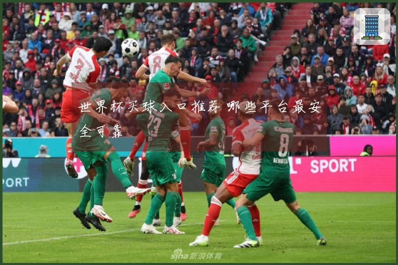 世界杯买球入口推荐 哪些平台最安全可靠