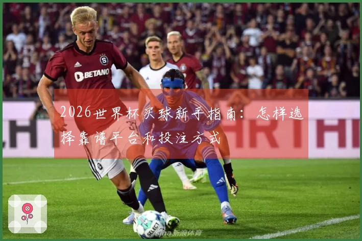 2026世界杯买球新手指南：怎样选择靠谱平台和投注方式