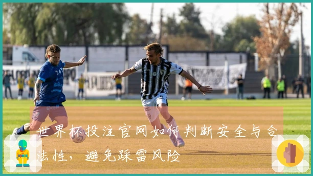 世界杯投注官网如何判断安全与合法性，避免踩雷风险